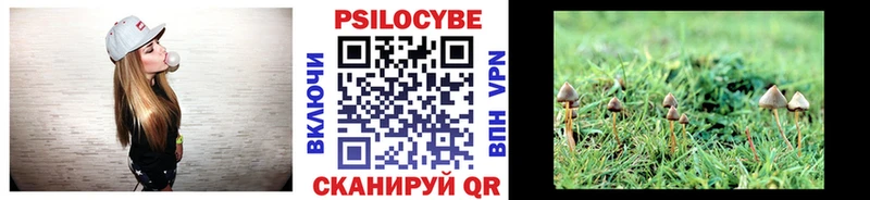 где можно купить наркотик  Белая Холуница  Псилоцибиновые грибы прущие грибы 
